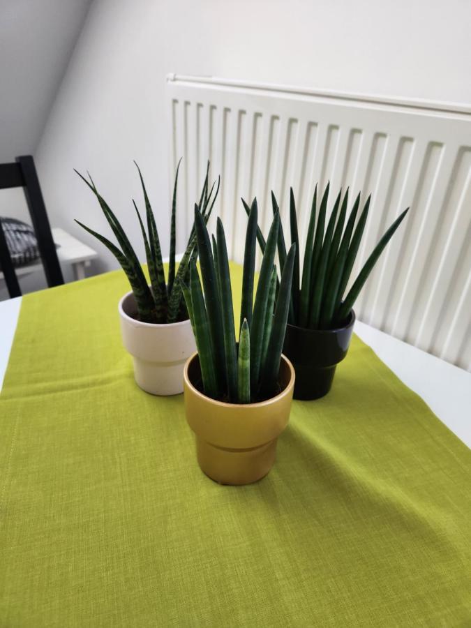 Vila Rajska Ptica Bled Exteriör bild